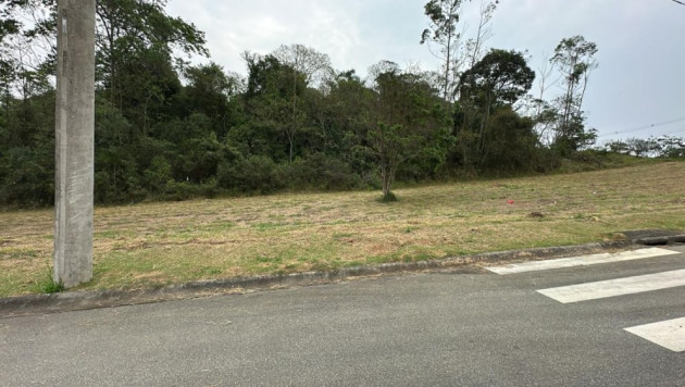 Terreno