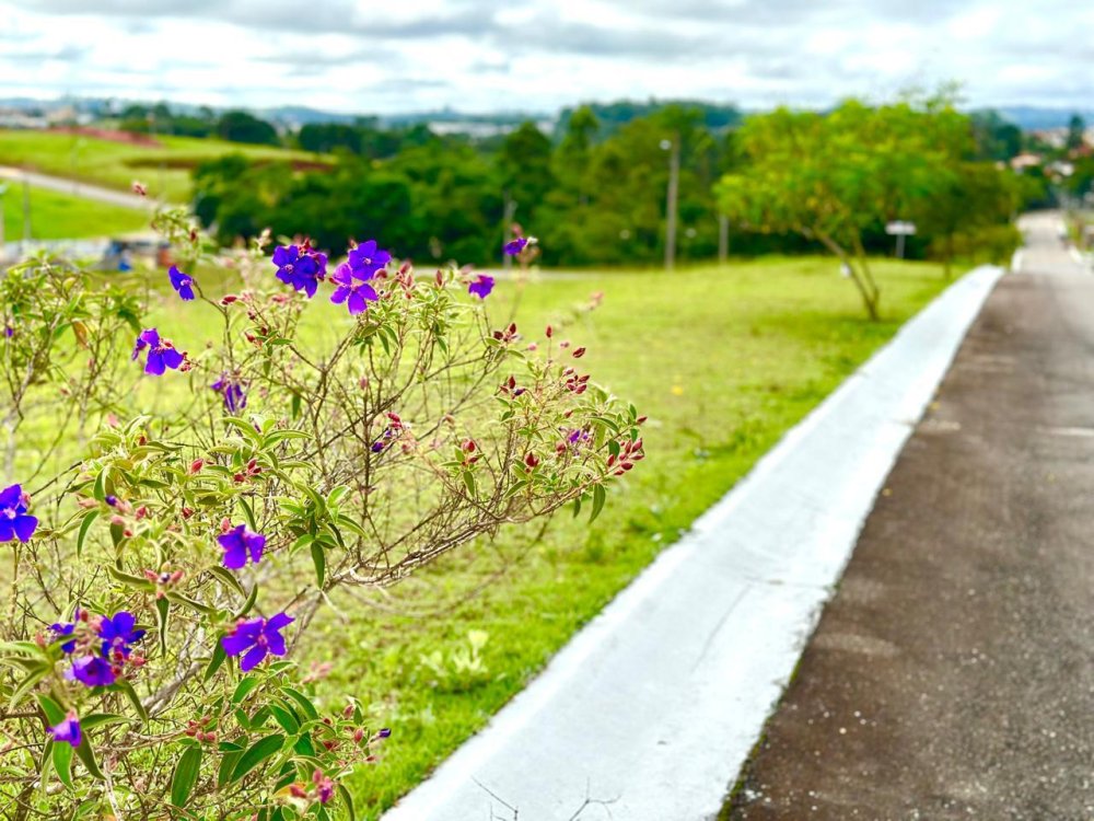 Lote - Venda - Mariápolis Ginetta - Vargem Grande Paulista - SP