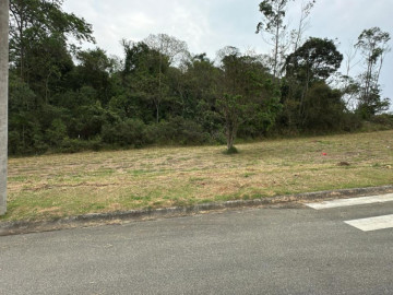 Lote com fundo para rea verde